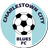 Charleston City Blues logo
