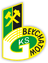 GKS Belchatow logo