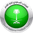Saudi Arabia B logo