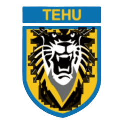 Nanjing Tehu Football Club logo