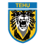 Nanjing Tehu Football Club logo