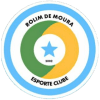 Rolim de Moura W logo - Women VS Rolim De Moura W Result Today