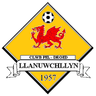 Llanuwchllyn logo