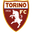 Torino U19 logo