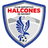 CD Halcones de Nayarit logo