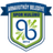 Arnavutköy BGS logo