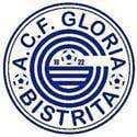 FC Gloria Bistrita logo - Selimbar VS Acf Gloria Bistrita Result