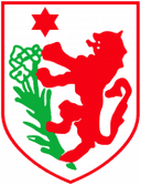 ASD Grassina logo - Grassina VS Santegidiese Result