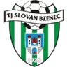 Bzenec logo