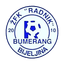 ZFK Radnik Bumerang (w) logo