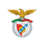 Sport Viseu Benfica U19 logo