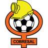 Cobresal logo