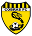 Bentleigh Utd Cobras logo
