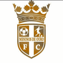 Meninos de Ouro U20 logo - U VS Meninos De Ouro U Score
