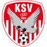 Kapfenberg SV 1919 logo