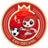 Zaozhuang Team logo