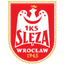 Sleza Wroclaw Women logo
