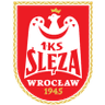 Sleza Wroclaw Women logo
