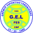 Gremio Esportivo Laranjeiras logo - Bra Campeonato Capixaba 33202 Live Football