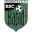 BSC Rapid Chemnitz logo