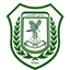 Al Ittihad SC logo