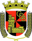 CD Beja U19 logo