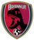 Bayannur Team logo