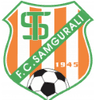 Samgurali Tskh logo