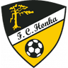 Honka Espoo logo