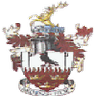 Brentwood Town logo