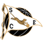 Sp. Espinho logo