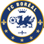 Boreale logo