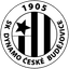 Ceske Budejovice (w) logo