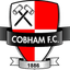 Cobham logo