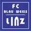 BW Linz Women logo