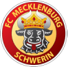 FC Mecklenburg Schwerin logo - Schwerin VS Sv Todesfelde Live Score