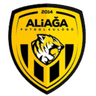 Aliaga Futbol logo