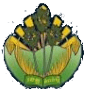 Kampong Speu logo - Chhnang VS Kampong Speu Sport