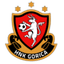 HNK Gorica W logo
