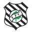 Figueirense SC Youth logo