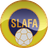 Sierra Leone Women U20 logo