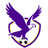 Boroondara Eagles Women logo - Live Aus Vic Womens Premier League 32357