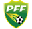 Pakistan U17 logo