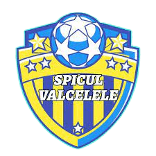 AS Spicul Valcelele logo