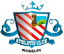 Atletico Cuernavaca logo