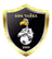 FK Chayka Zelva logo