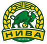 Nyva Ternopil B logo