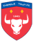 Cheadle Town Stingers (w) logo