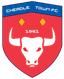 Cheadle Town Stingers (w) logo