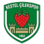 Kestel Cilekspor U19 logo